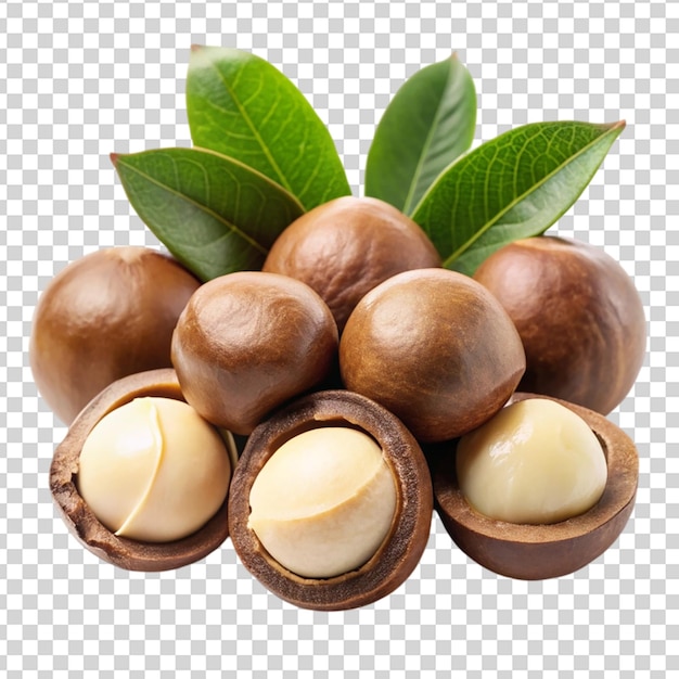 PSD macadamia nuts with leave isolated on transparent background