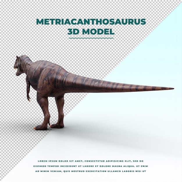 PSD metriacanthosaurus