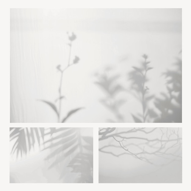 PSD minimalist nature shadows art set