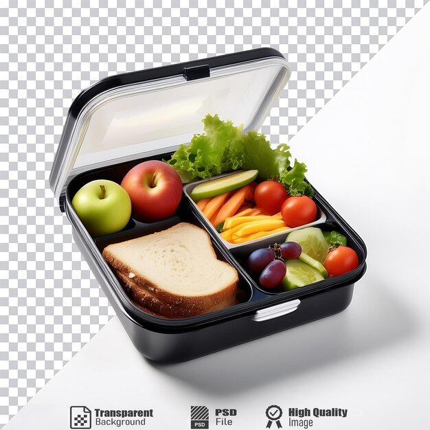 PSD nutritious bento box lunch