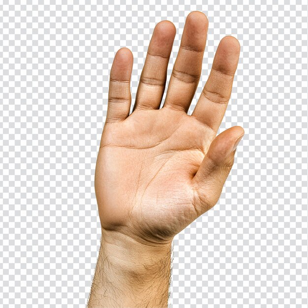 PSD open hand gesture
