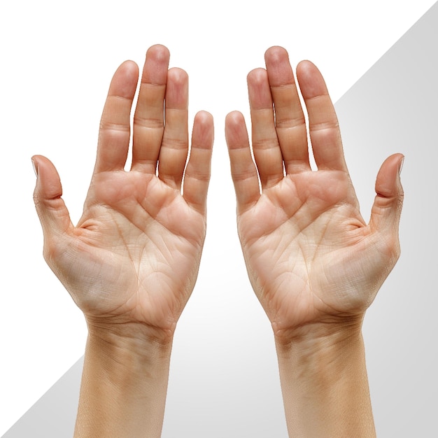 PSD open hands isolated on transparent background