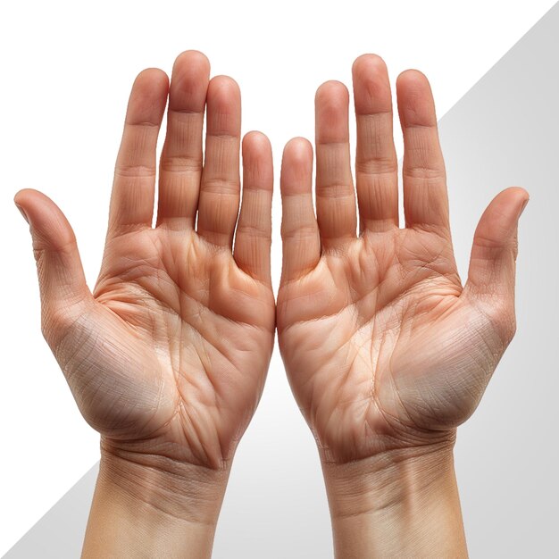 PSD open hands isolated on transparent background