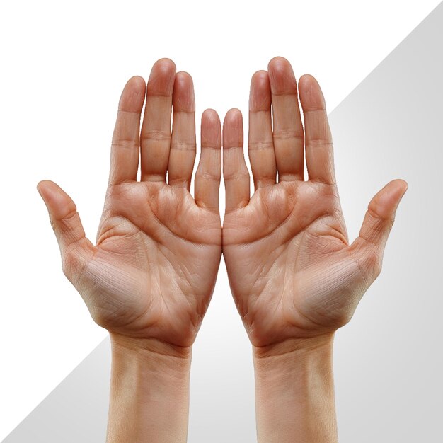 PSD open hands isolated on transparent background