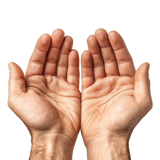 PSD open palms showing hands