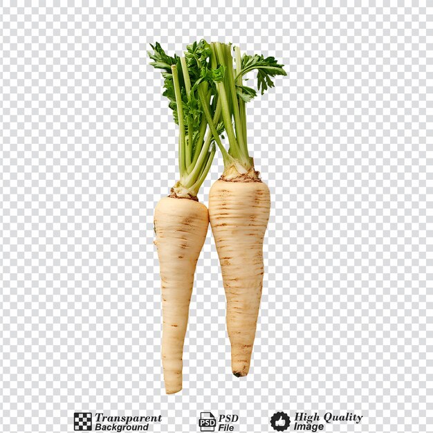 PSD parsnip isolated on transparent background