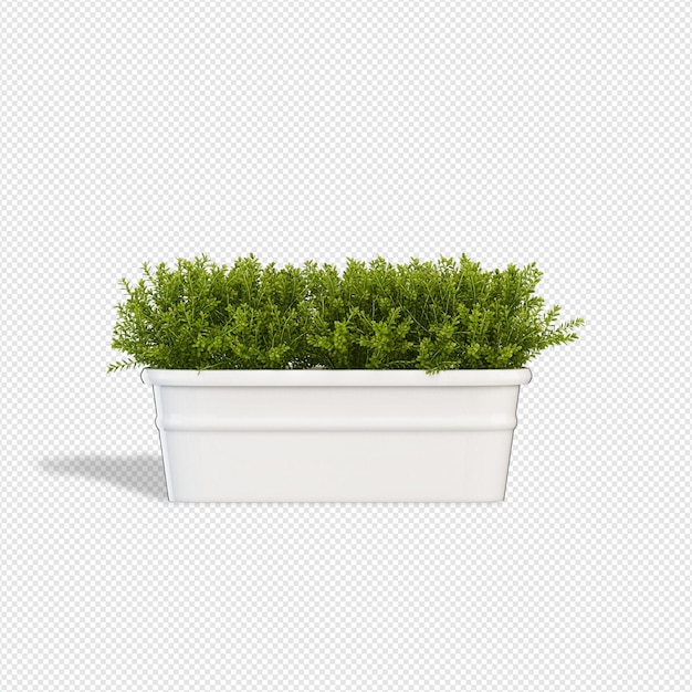 PSD plant 3d rendering