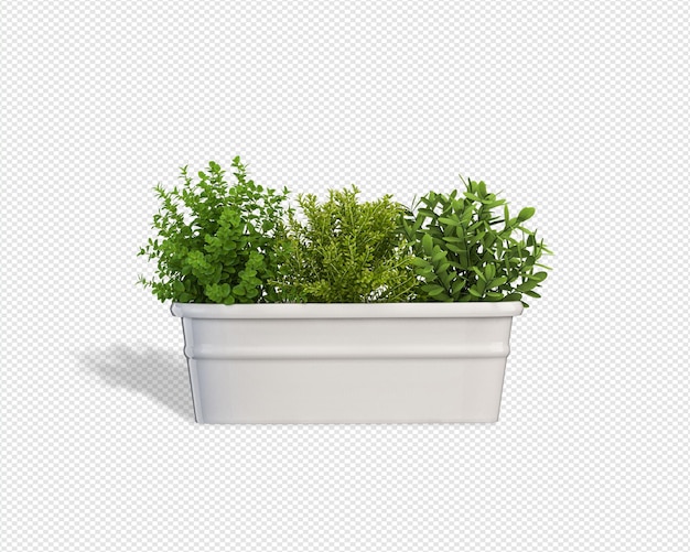 PSD plant 3d rendering