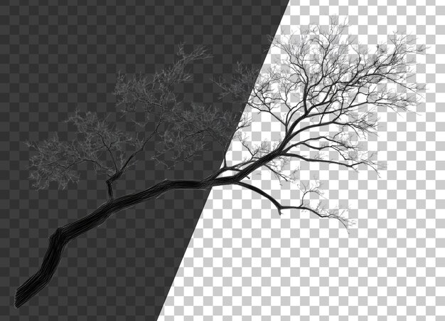 PSD png skeletonlike tree branches in winter setting