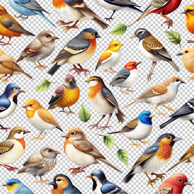 PSD psd of birds on transparent background