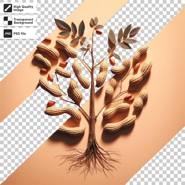 PSD psd nuts and leafs on transparent background