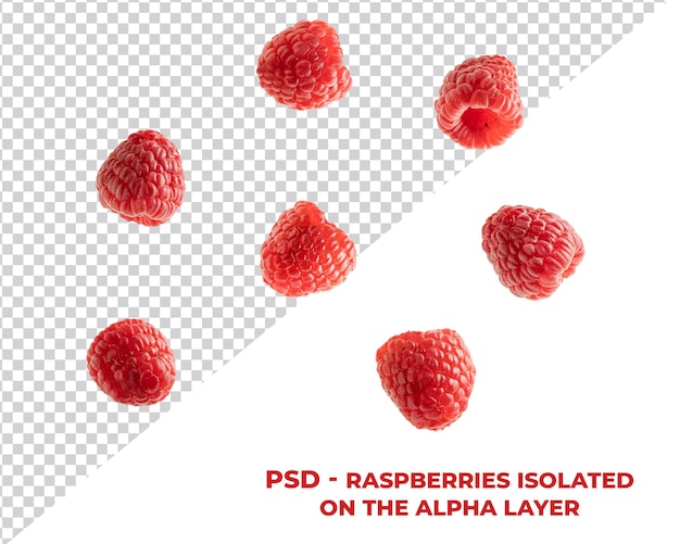 PSD psd raspberry isolated on the alpha layer