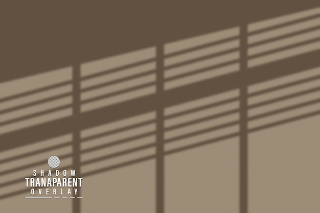 PSD psd transparent shadow and light overlay effects window reflection and sunlight empty background