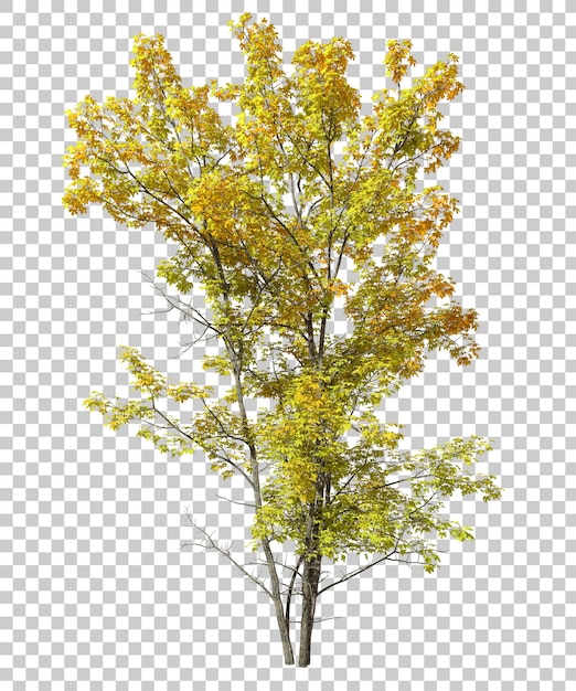 PSD psd yellowed colours tree leaves cutout 3d render