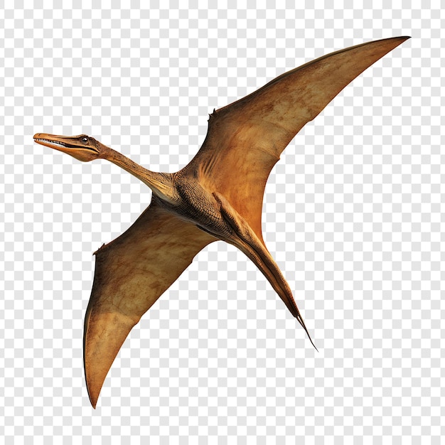 PSD a pterosaur soaring through the sky