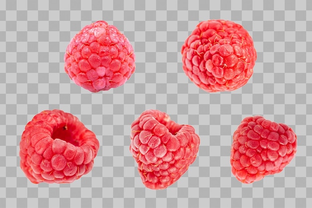 PSD raspberry