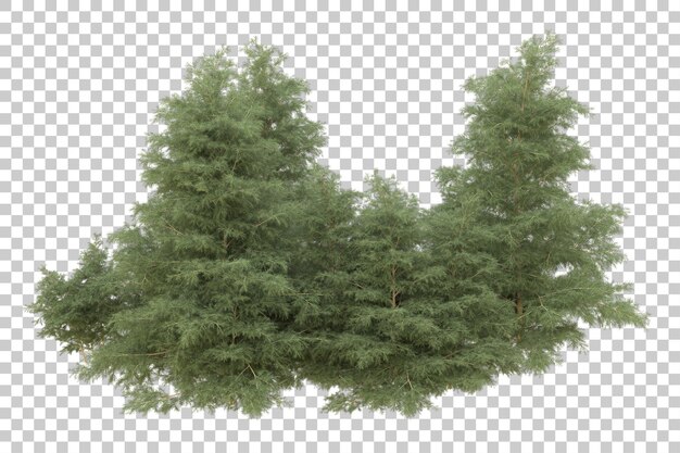 PSD realistic forest isolated on transparent background 3d rendering illustration