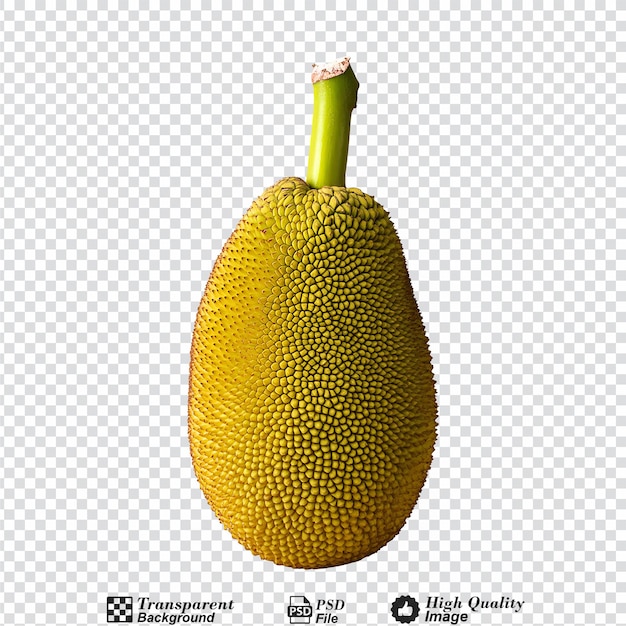 PSD ripe jackfruit isolated on transparent background