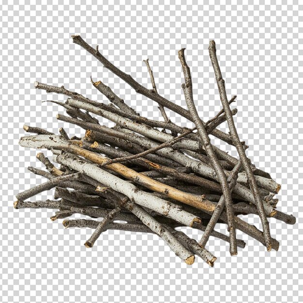 PSD single dry tree branch isolated on white background