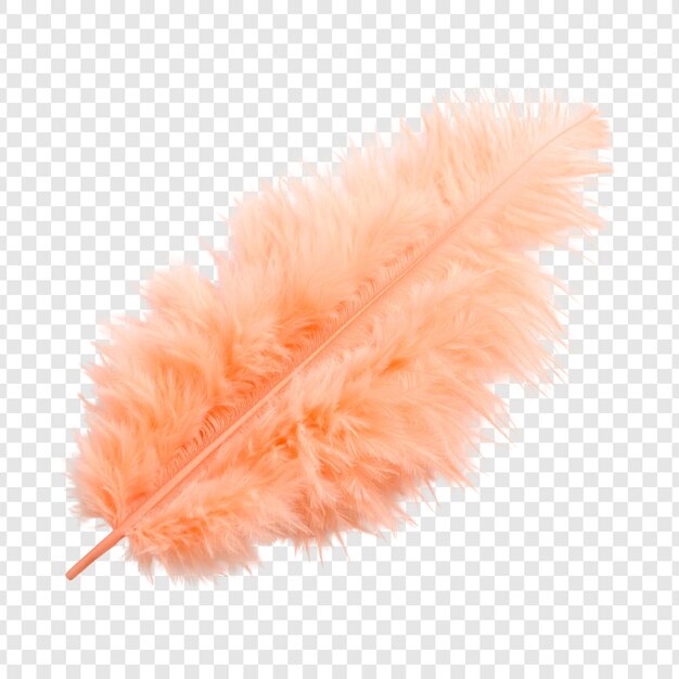 PSD single peach colored fluffy feather illustration