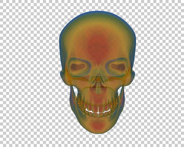 PSD skull isolated on background 3d rendering illustration