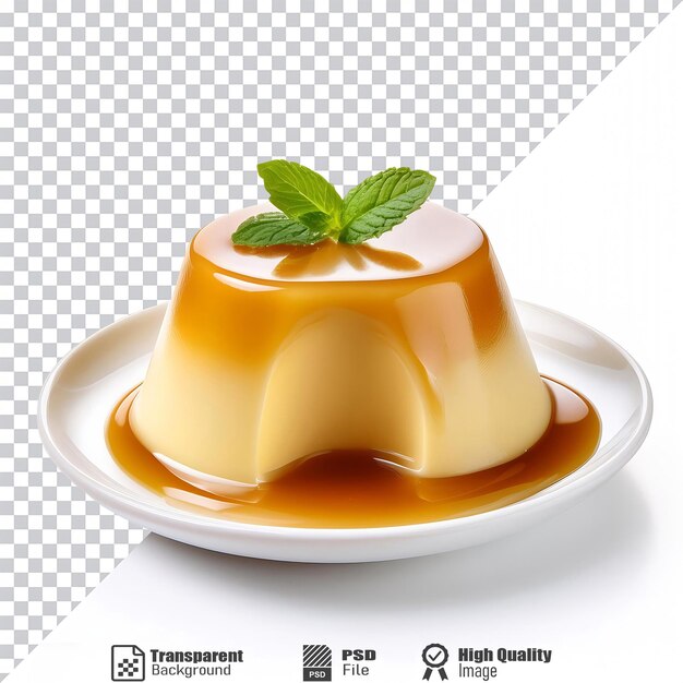 PSD smooth and shiny pudding with mint garnish