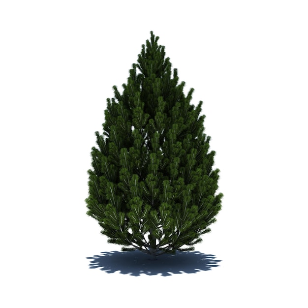 PSD standalone tree