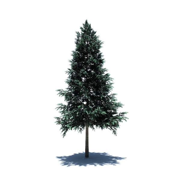 PSD standalone tree