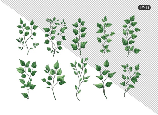 PSD themed ivy wall climber