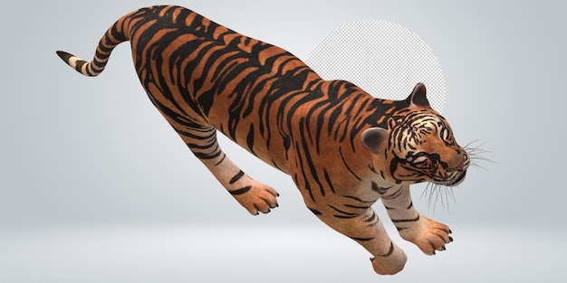 PSD tiger isolated on a transparent background