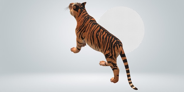 PSD tiger isolated on a transparent background