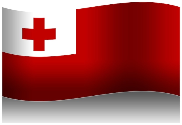 PSD tonga wave flag 3d