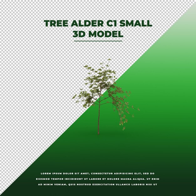 PSD tree alder 3d isolated model