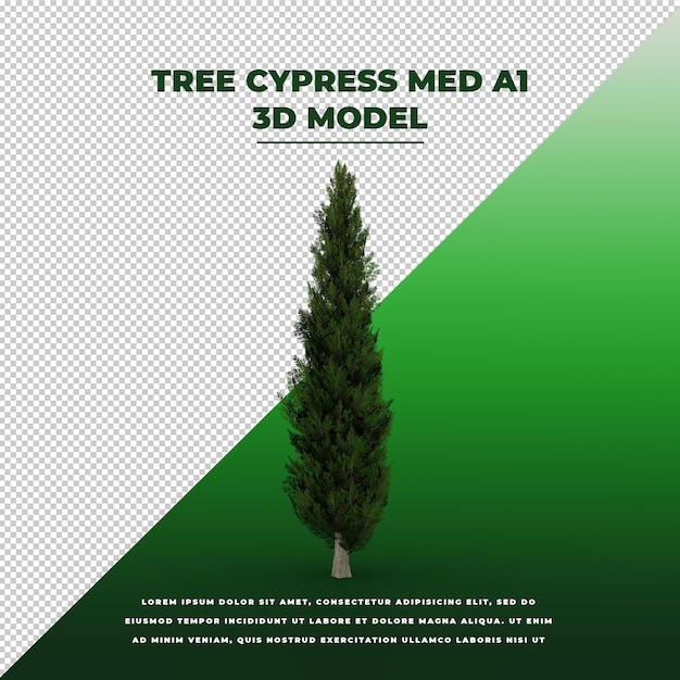PSD tree cypress med 3d isolated model