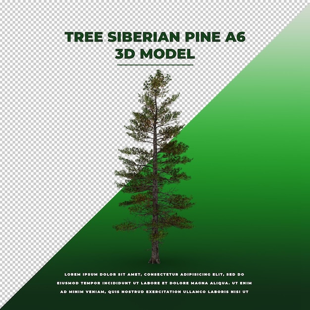 PSD tree pine siberian 3d isolated model