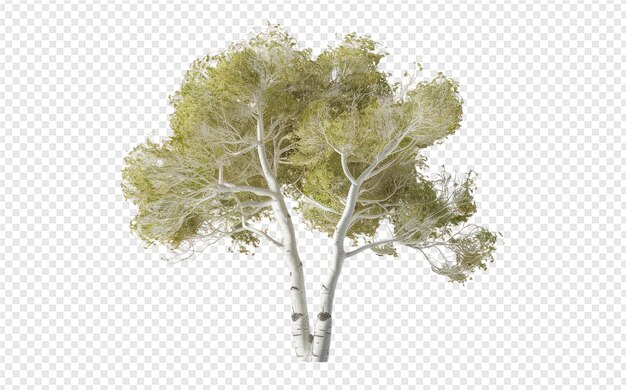 PSD a tree with green leaves on a transparent background