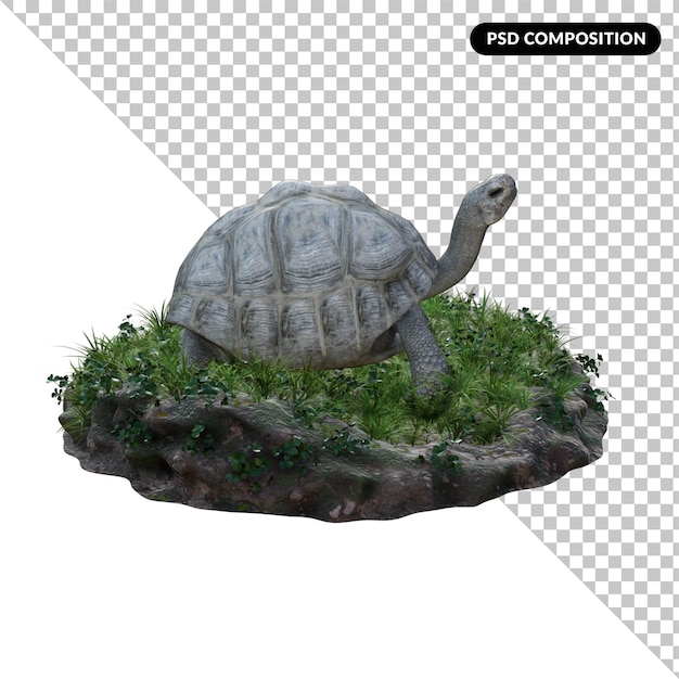 PSD turtle alpha isolated 3d rendering