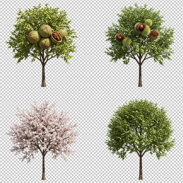 PSD various trees 3d renderings
