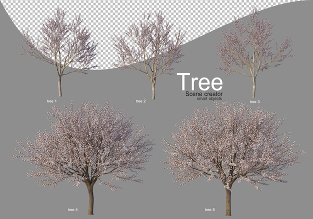 PSD various trees in full bloom with beautiful flowers 