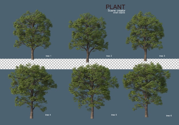 PSD various types of trees