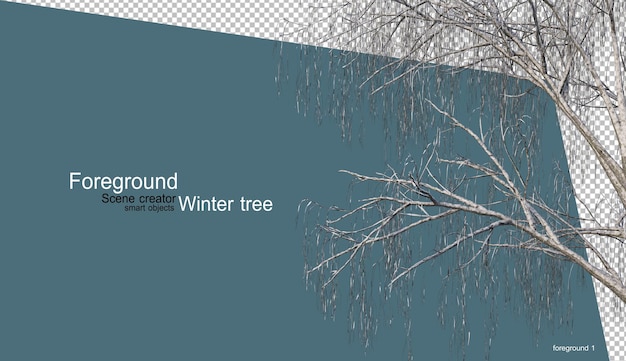 PSD various winter trees design isolated