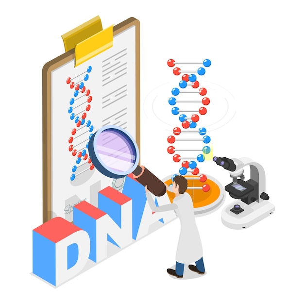 Vector 3d isometric flat vector illustration of genetic dna science gene engineers and decoding