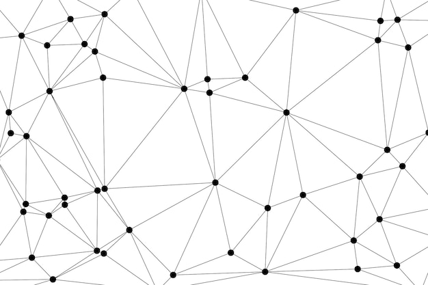 Vector abstract polygonal mesh with black nodes and thin lines creating a minimalist geometric network pattern