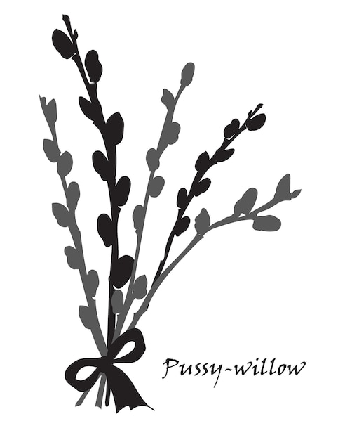 Vector abstract texture with pussy willow bouquet