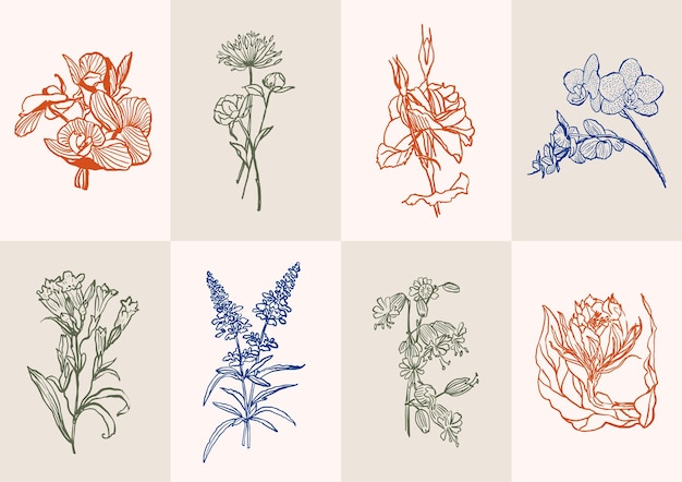 Vector abstract vector illustration set of botanical printable posters