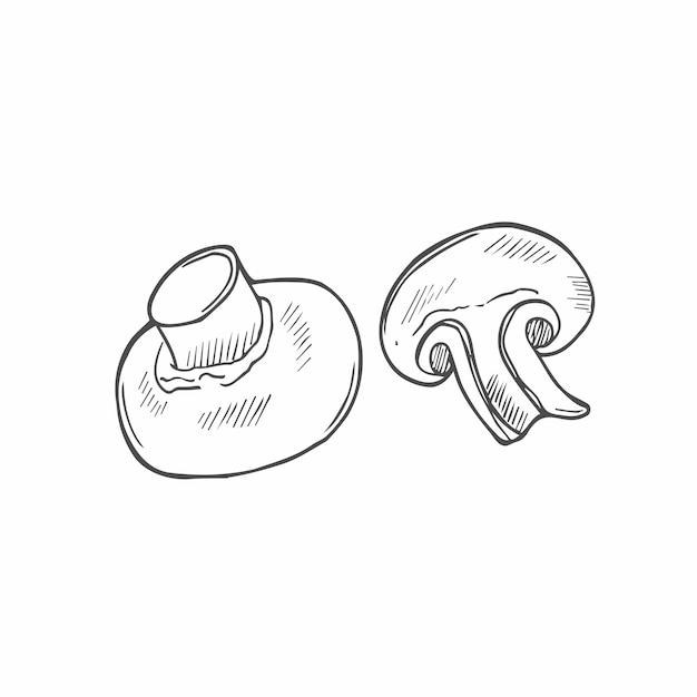 Vector art illustration