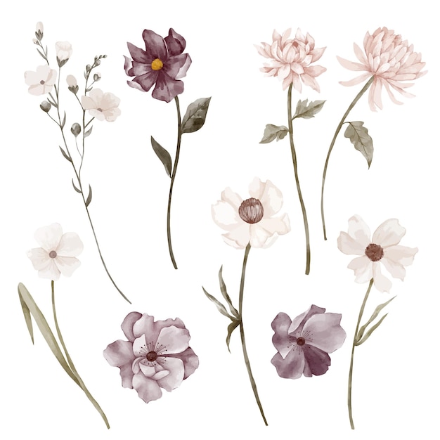 Vector autumn flowers and green leaves