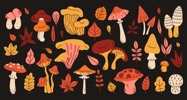 Vector autumn foliage cartoon mushroom pattern leaf maple orange leaves ginkgo doodle icon forest fly agaric plant print drawn tree background fall decorative elements vector isolated illustration