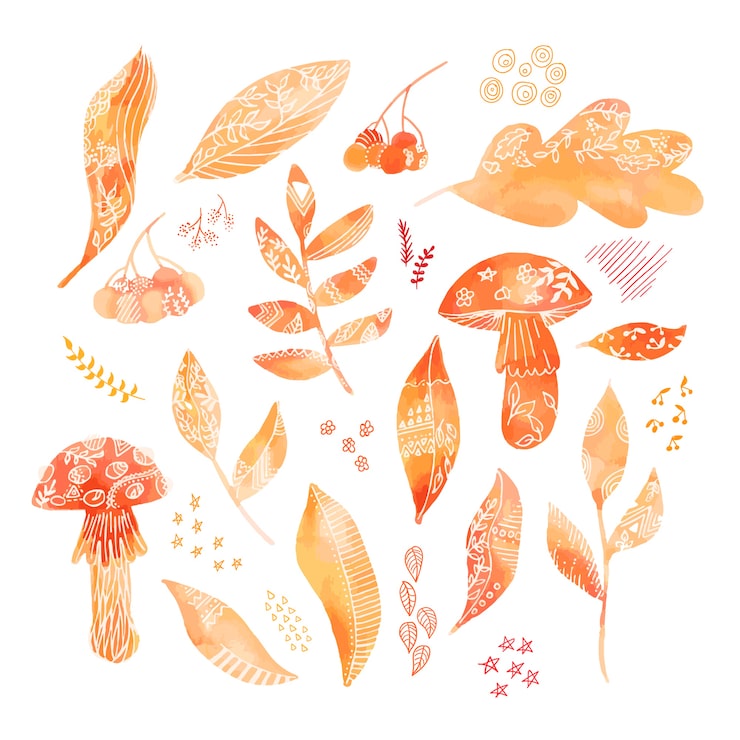 autumn leaf
