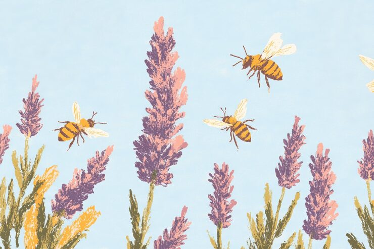 Vector bees flying over blooming lavender in a pastel botanical composition